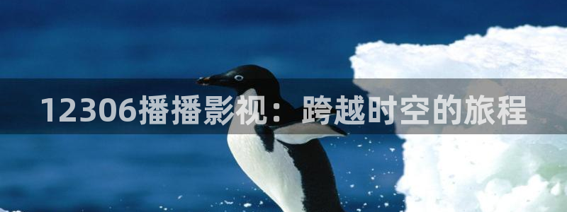 在线电影天堂网：12306播播影视：跨越时空的旅程