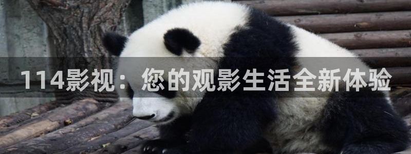 电影天堂高清首发电影下载：114影视：您的观影生活全新体验