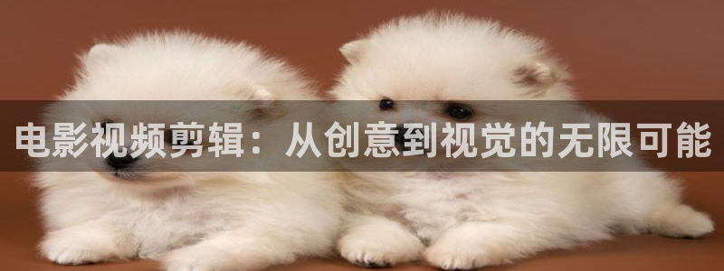 aaa天堂影院：电影视频剪辑：从创意到视觉的无限可能
