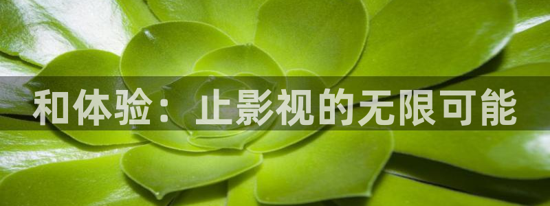 av2017天堂影院：和体验：止影视的无限可能