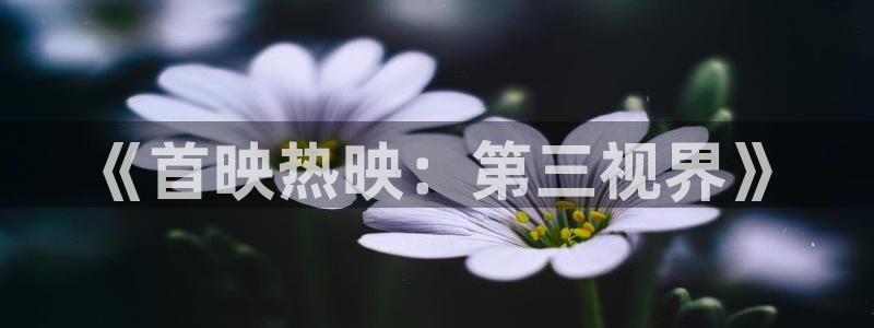 午夜影院天堂网：《首映热映：第三视界》