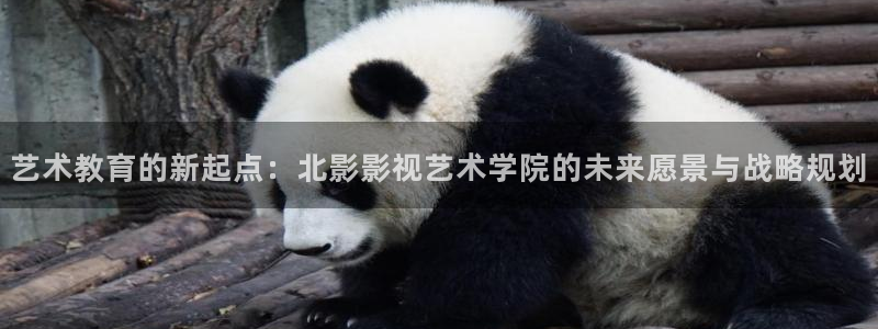 男人天堂第七影院：艺术教育的新起点：北影影视艺术学院的未来愿景与战略规划