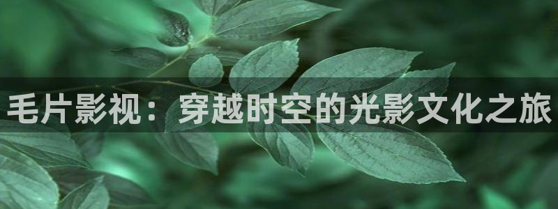 天堂影院黄色：毛片影视：穿越时空的光影文化之旅