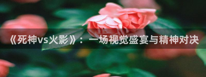 eeuss免费电影天堂：《死神vs火影》：一场视觉盛宴与精神对决